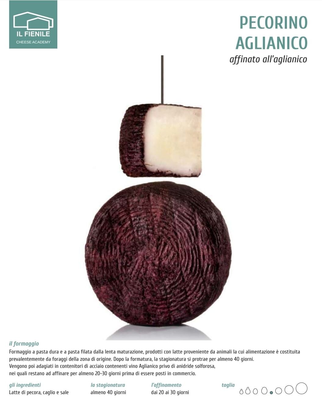 Pecorino Aglianico