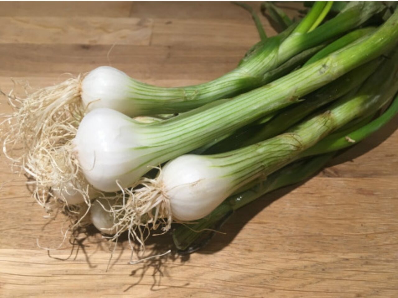 Oignons blancs botte d'Alsace - 1,33€