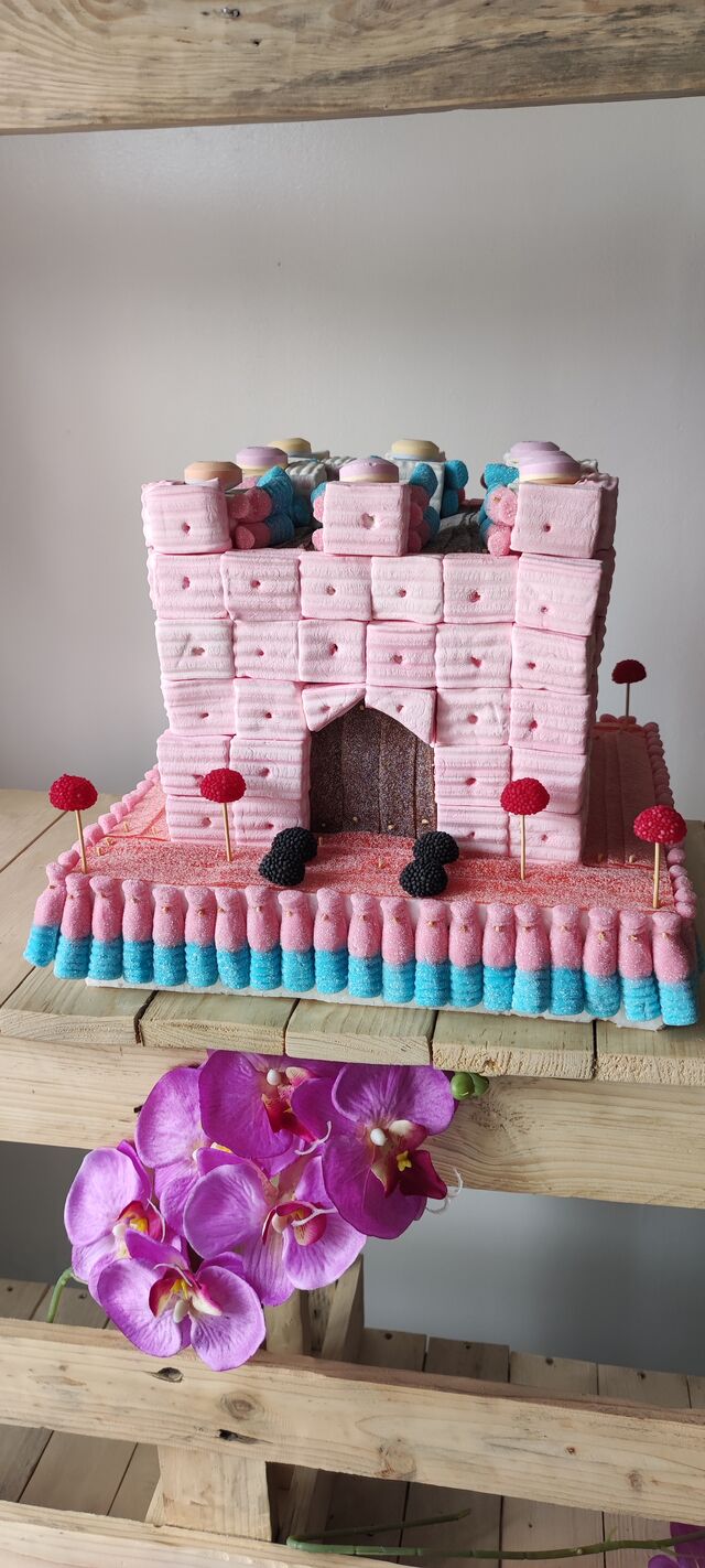 Gâteau de bonbons château de princesse 