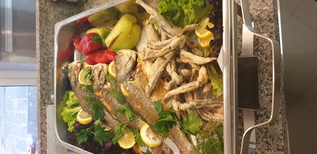 Goldbrasse frisch nur bei uns 