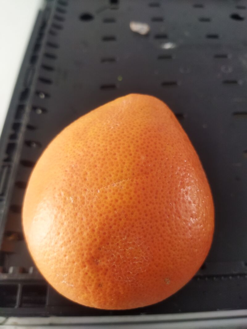 Pamplemousse rose 0.90€ pièce 