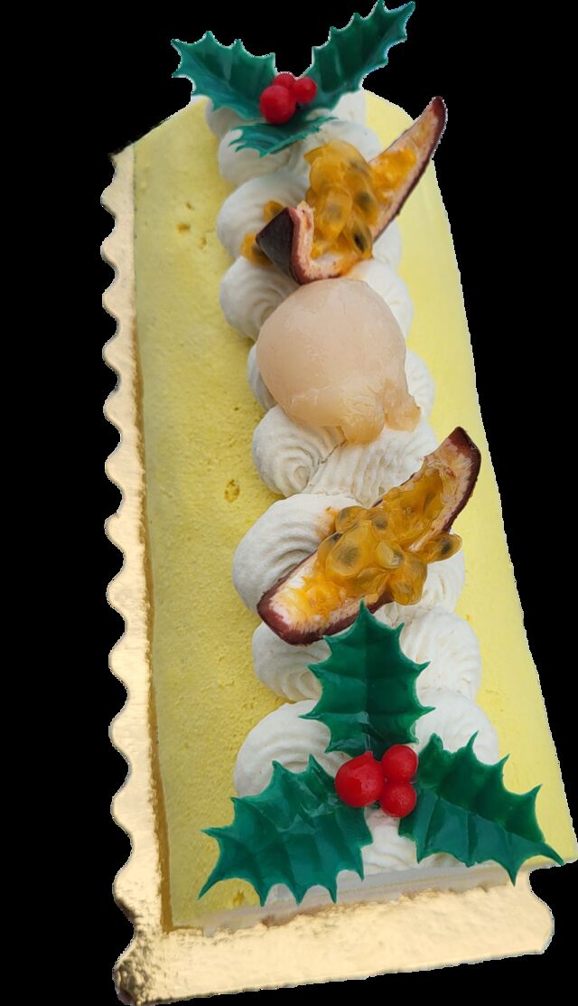 Bûche glacée chocolat praliné