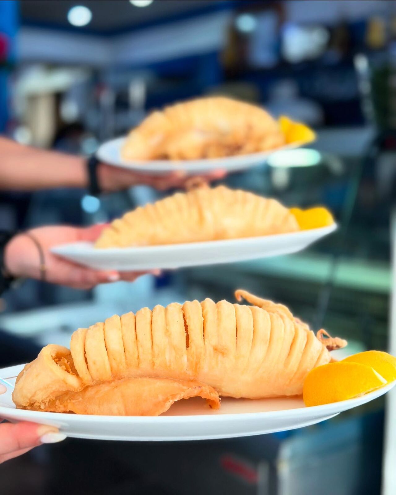 CALAMAR SAHARIANO 00