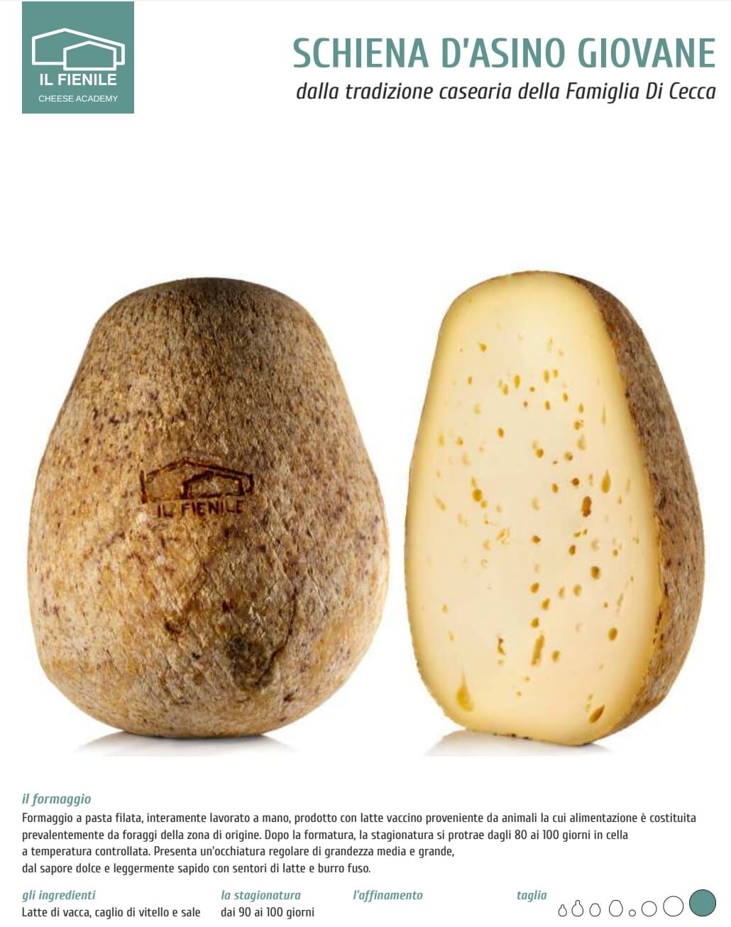 Schiena d'Asino Giovane