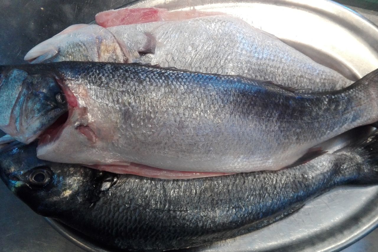 Dourada e Robalo/ Golden Fish & Sea Bass