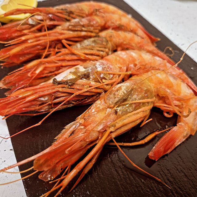 Gamba roja de Denia
