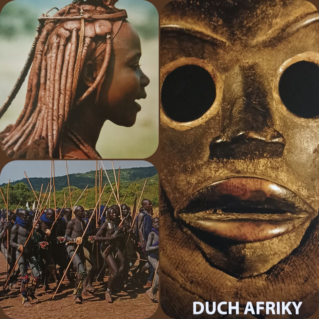 DUCH AFRIKY