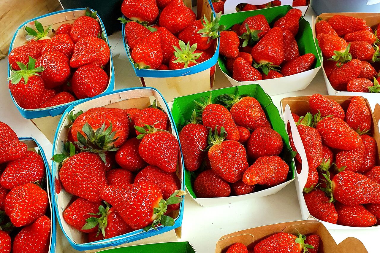 Fruits et Légumes de Qualité