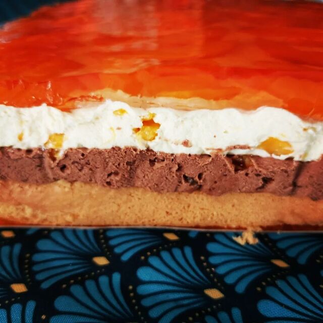 Gâteau ambassadeur - génoise plus crème au chocolat avec morceaux de chocolat, raisins secs, zeste d'orange plus crème pâtissièr