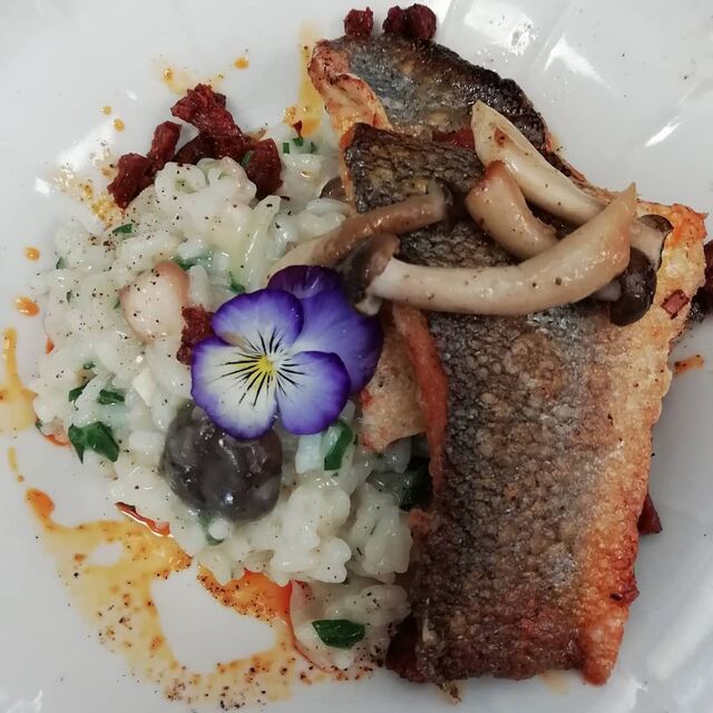 risotto met zeebaars en chorizo