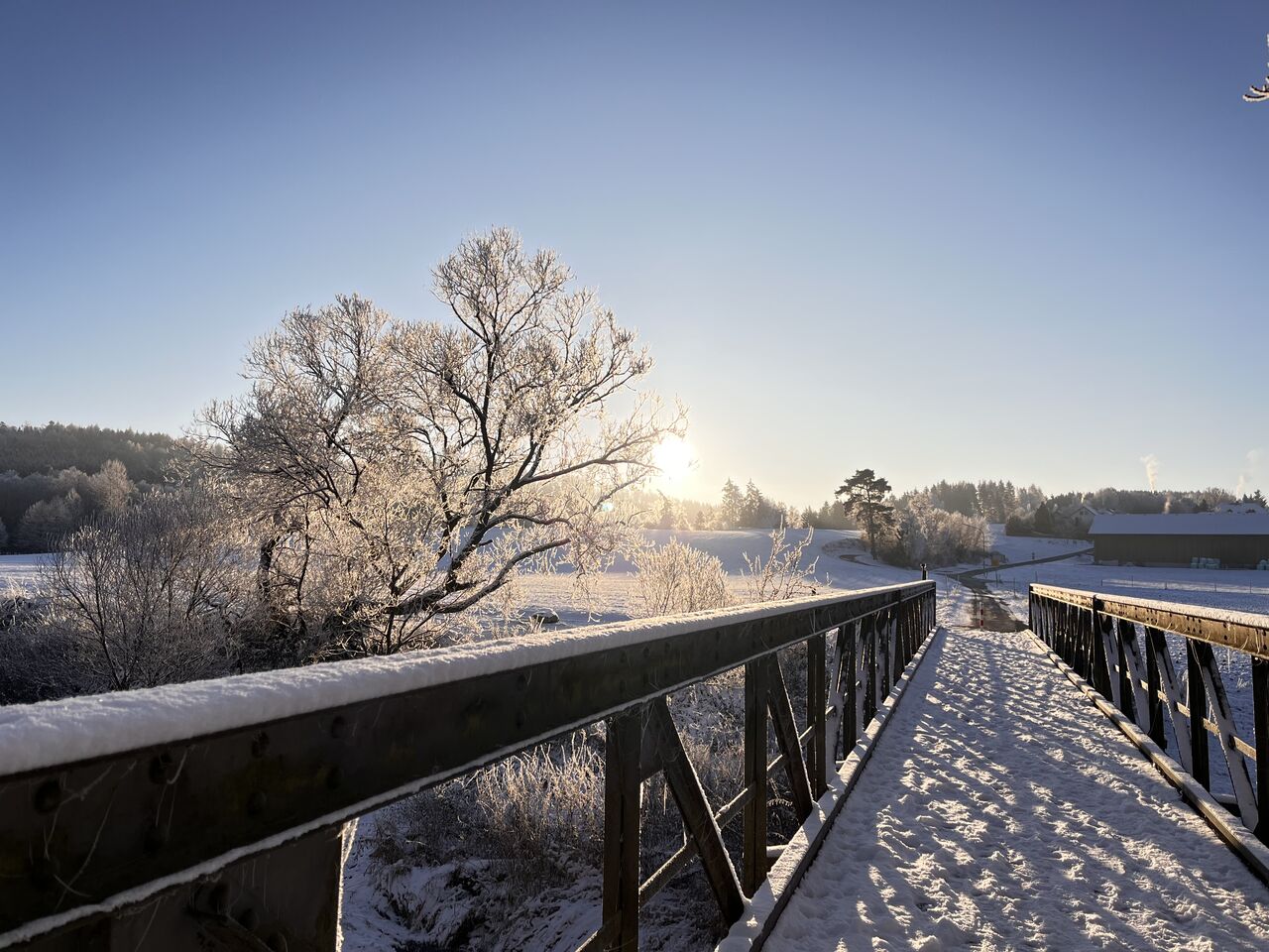 Alte Eisenbrücke Richtung Saalenstein