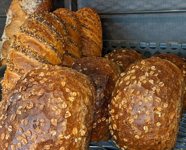 Pain aux 6 céréales ou le Hastings (Froment, seigle, orge et 4 céréales) ? Laissez vous tenter !