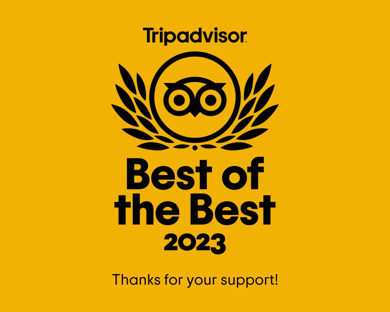 TripAdvisor 