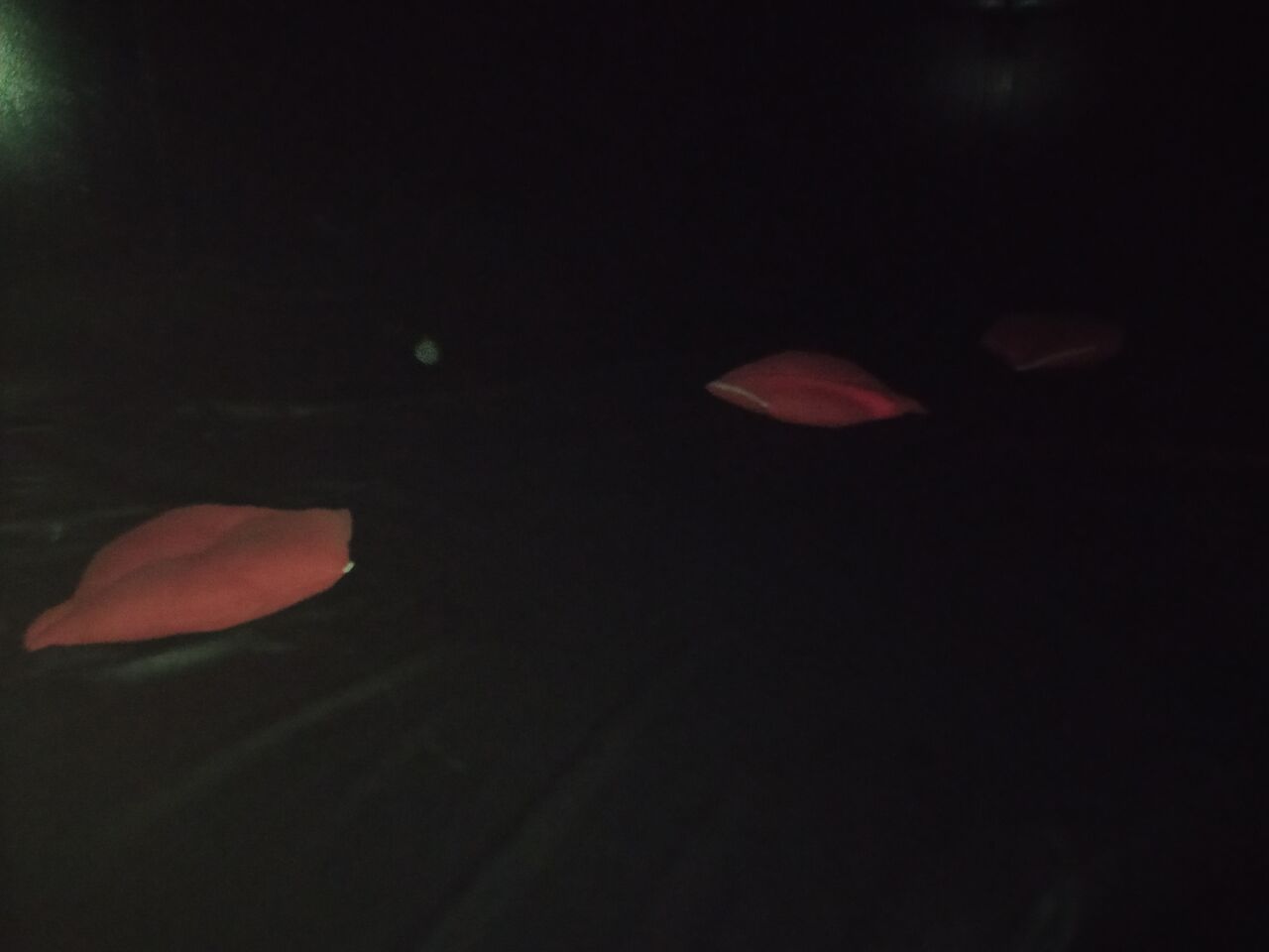 ZONA PAREJAS: TATAMI OSCURO