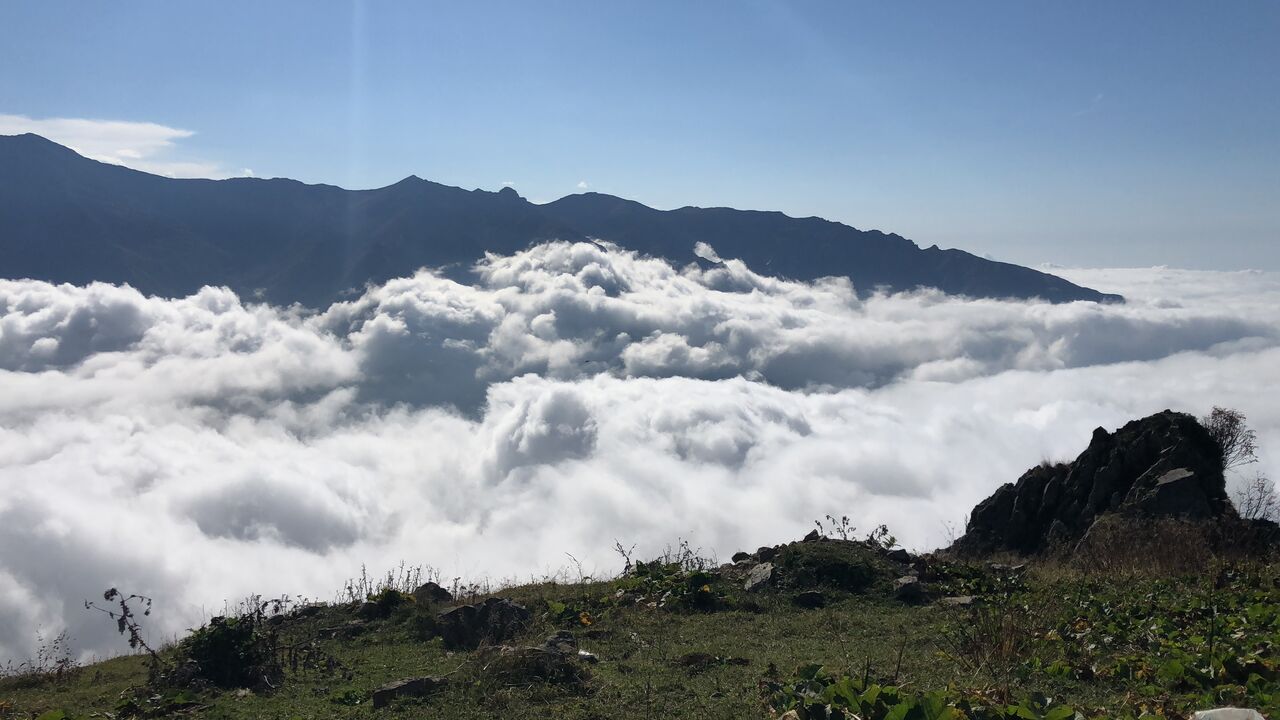 Arhavi Yaylaları