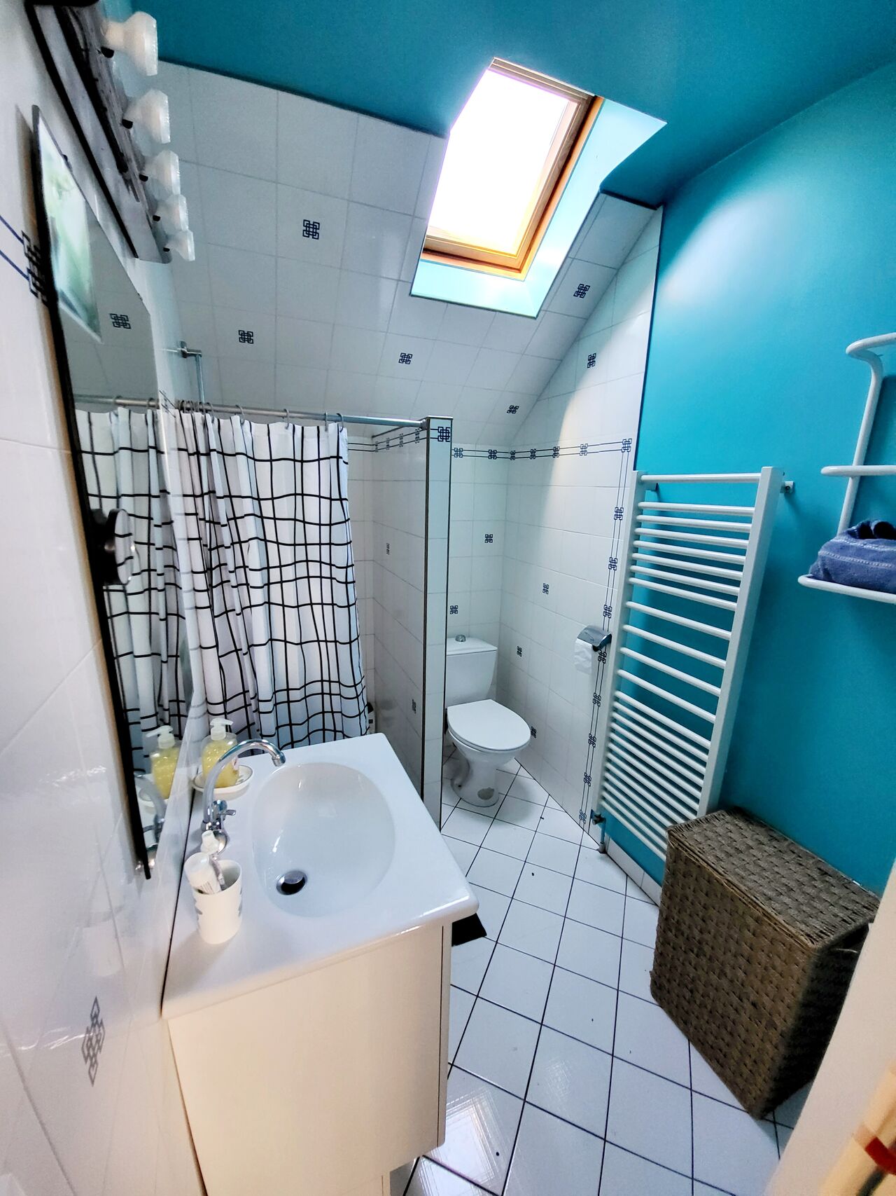 Salle de douche + toilettes