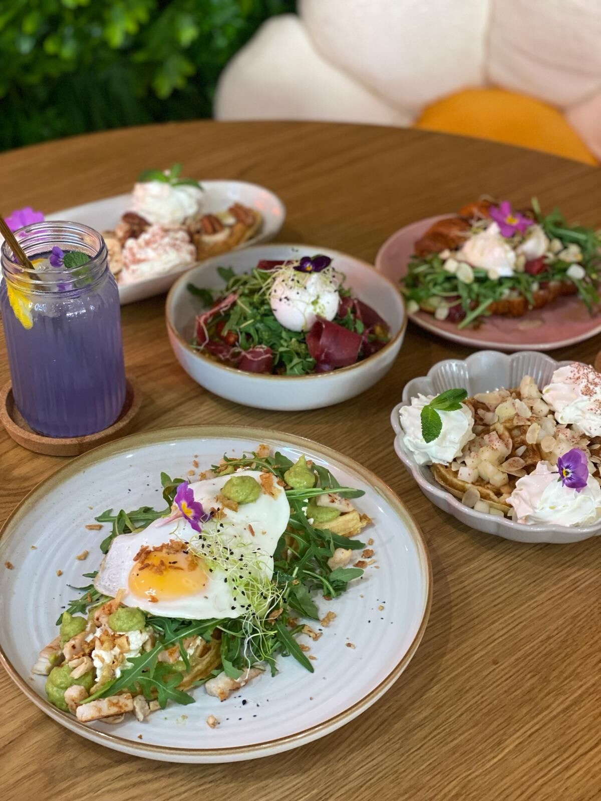 Nouveautés printemps 