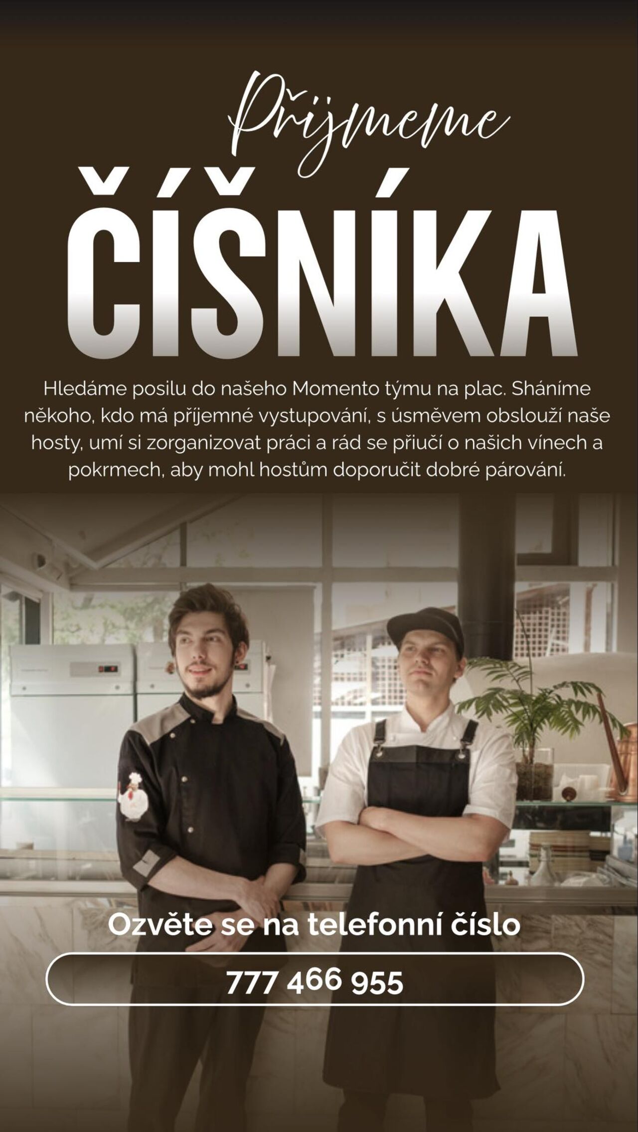 Hledáme číšníka/servírku