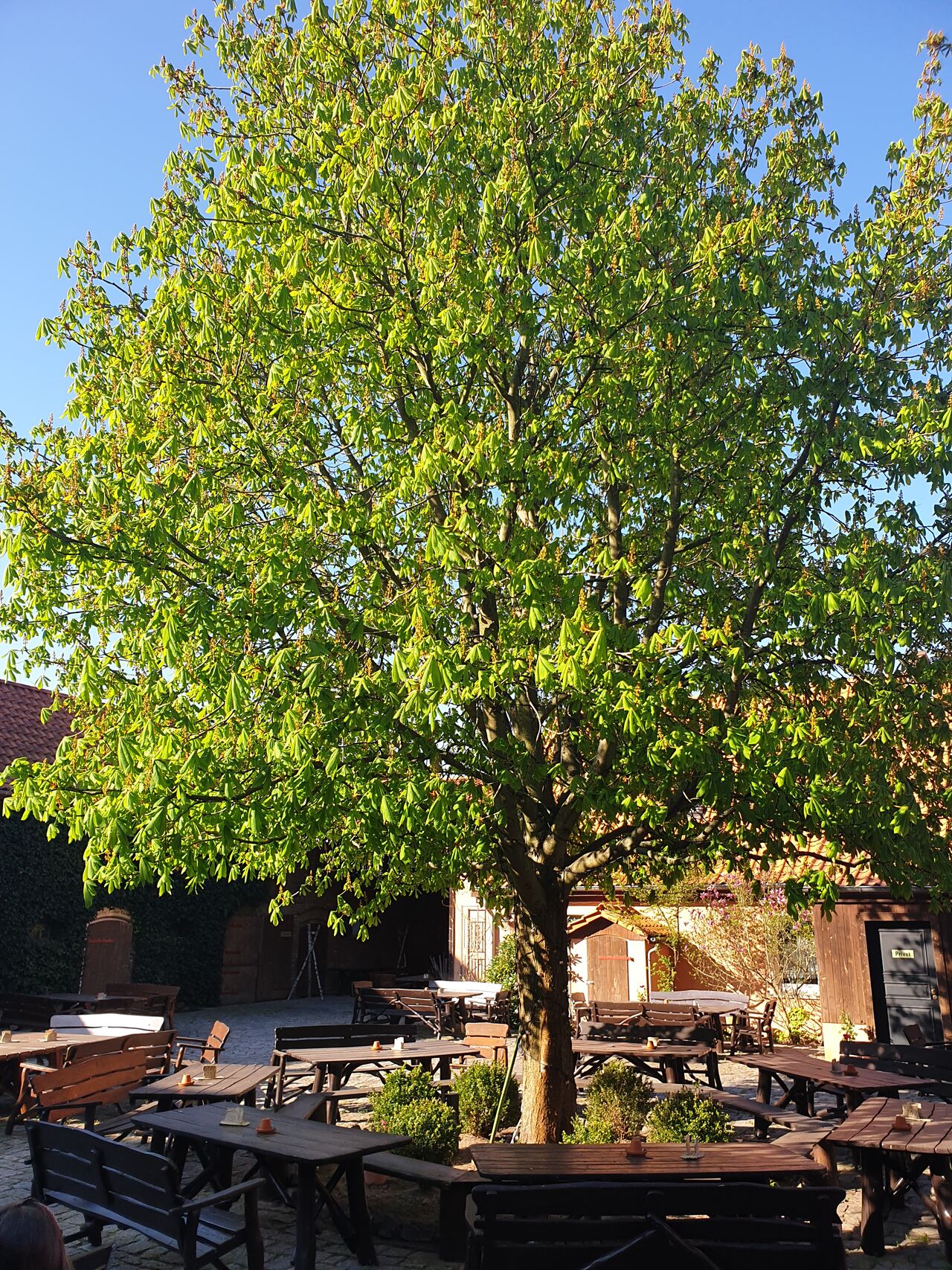 Außenbereich Sommer