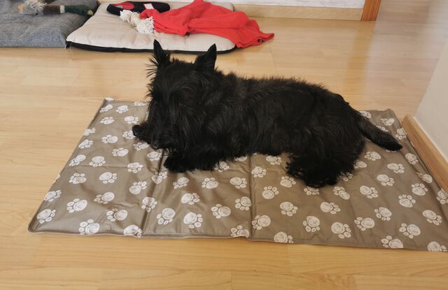 Pablo refrescandose😁