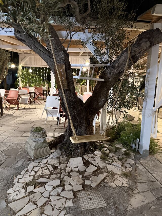 Altalena tra gli ulivi