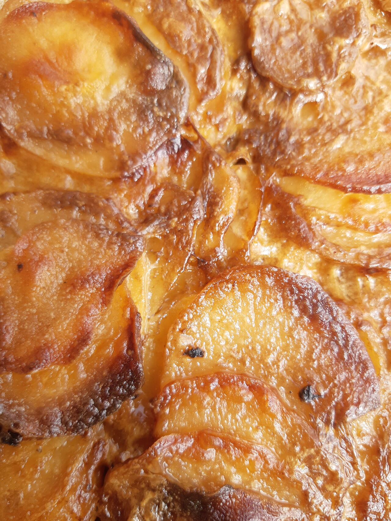 gratin de pommes de tterre à l'ail noir de Biscarrosse