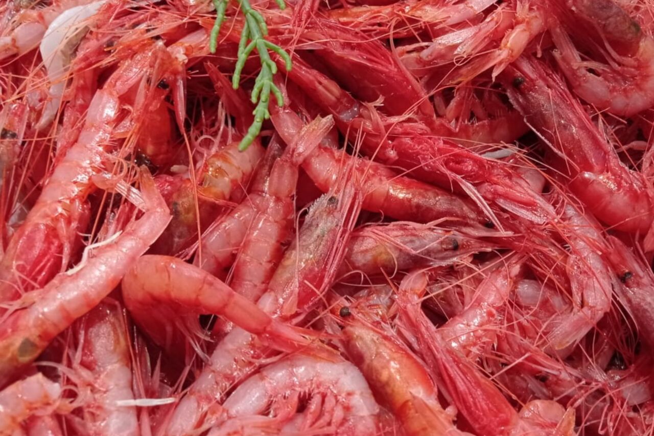 IL MARE DIRETTAMENTE DA NOI