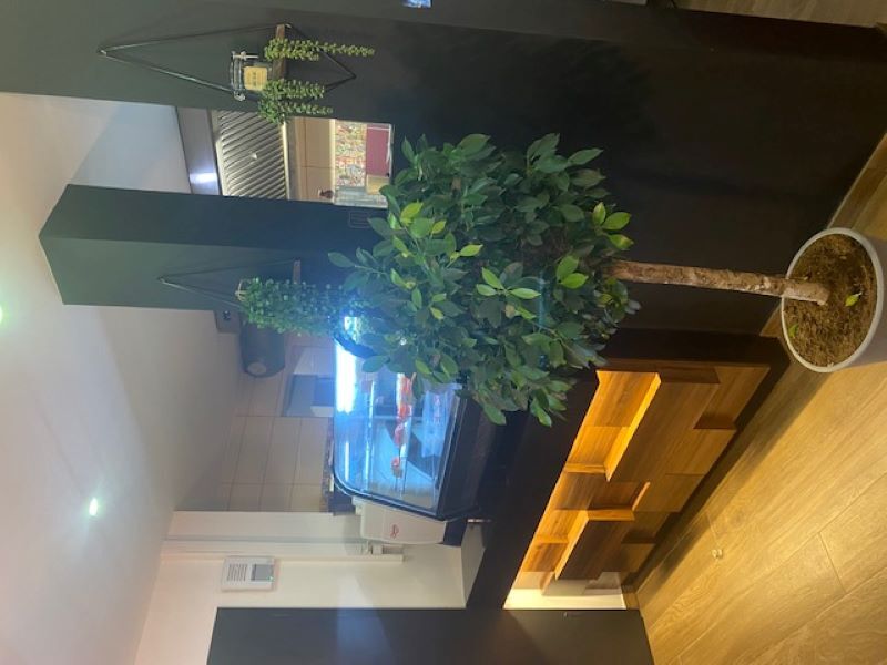 La vitrine à pâtisserie