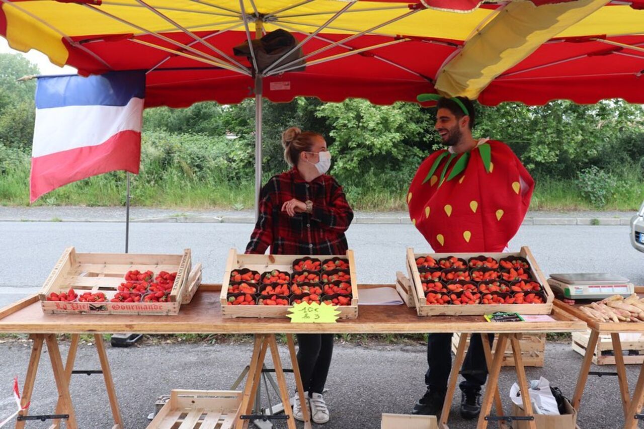 Les fruits de Saison Rosini -Vidal