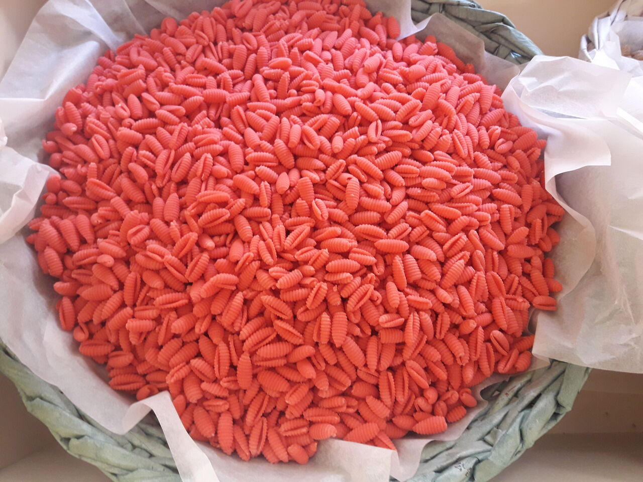 MALLOREDDUS/BARBABIETOLA