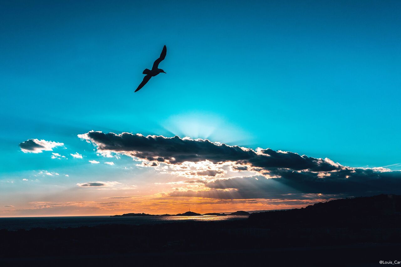 Au cœur de la « Cité Radieuse », se cache cette surprenante adresse gastronome « le ventre de l’architecte