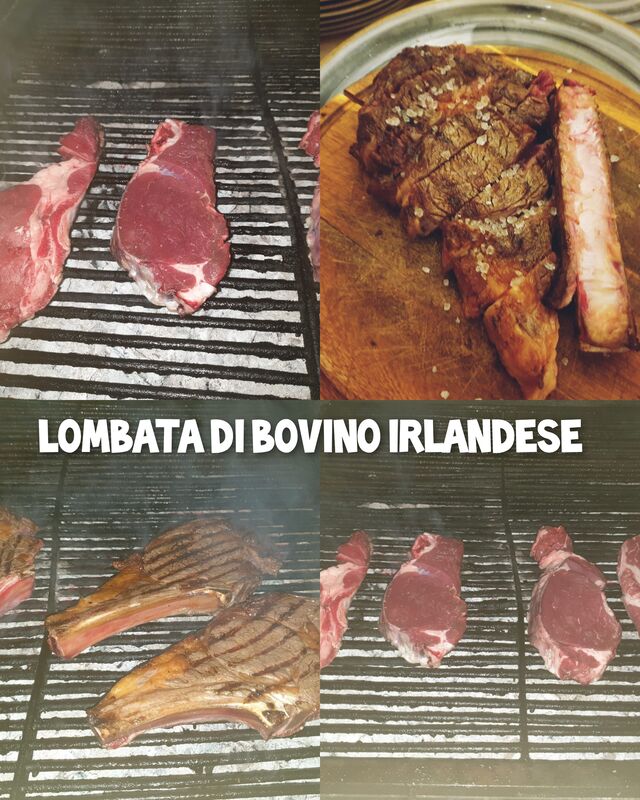 Lombata di bovino irlandese 