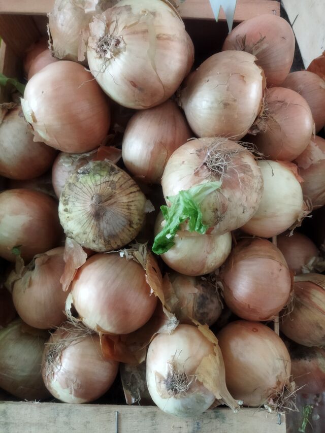 Oignons jaunes 1.03kg