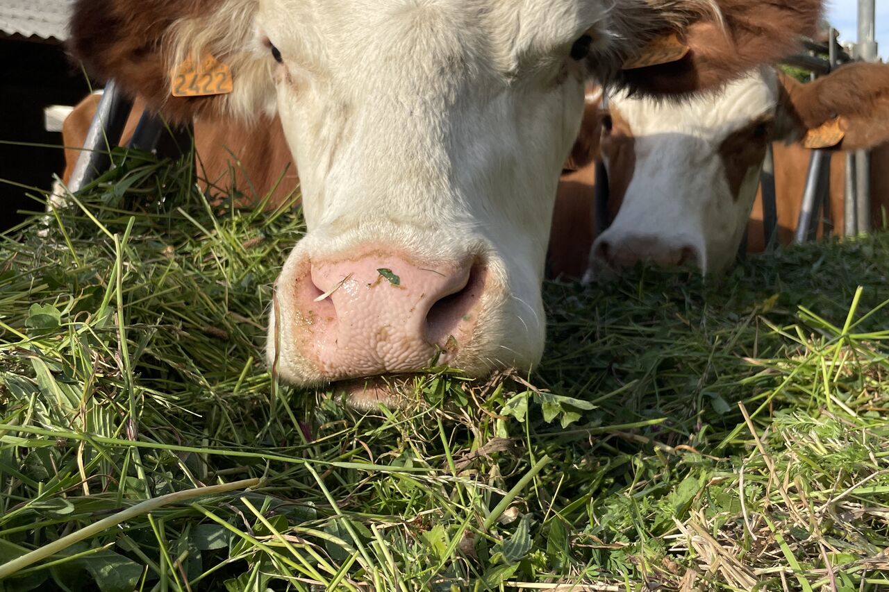 Un concept authentique