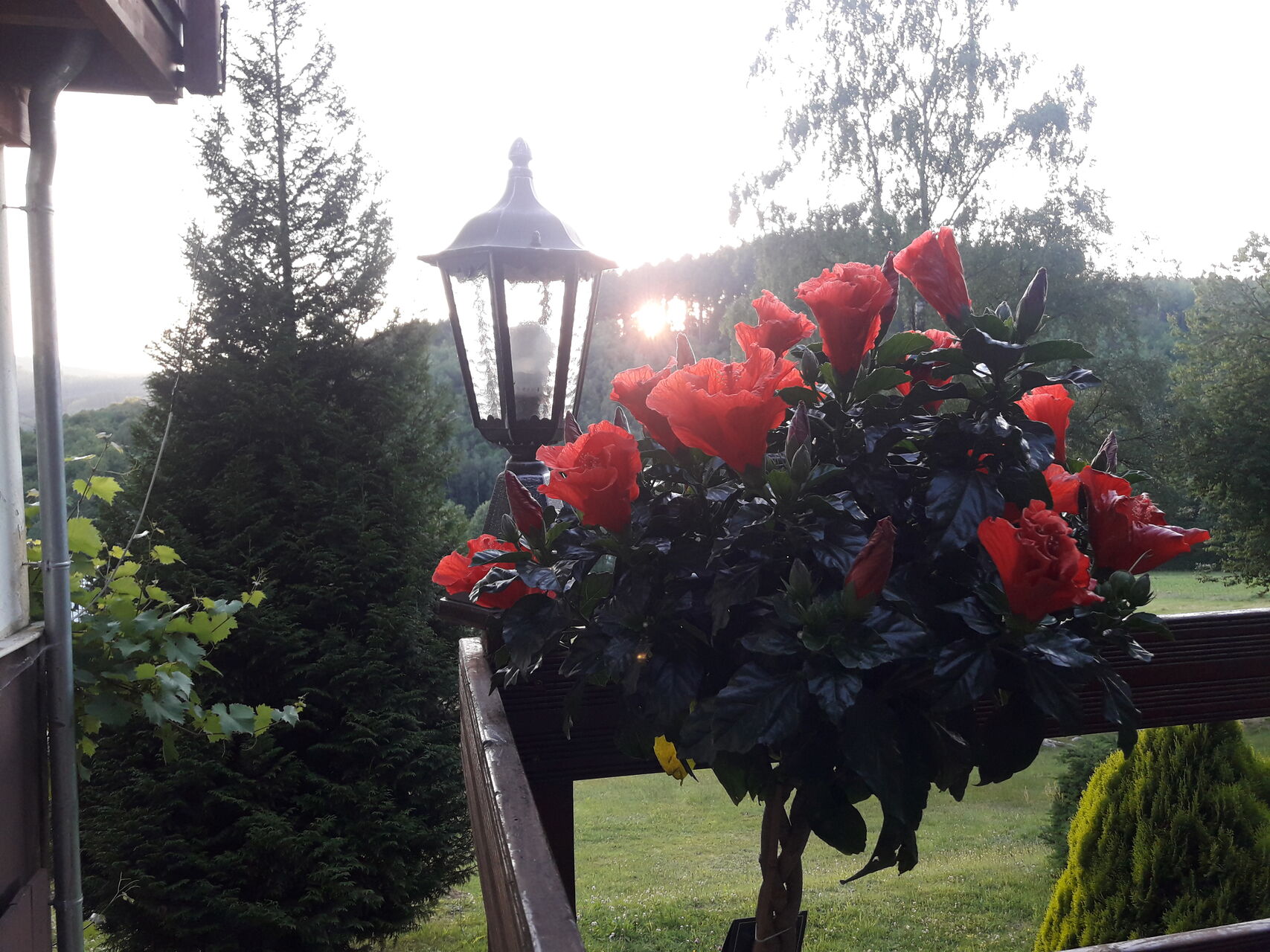 Wir haben 2025 geöffnet am: