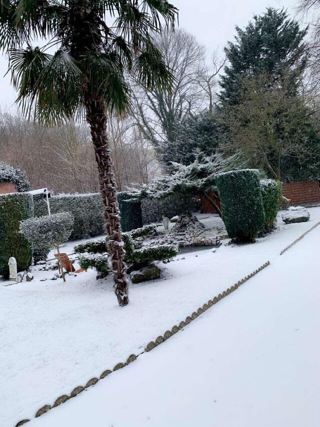 Le Méditerranéen sous la neige.