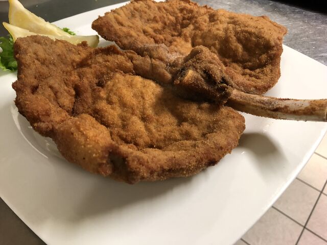 Orecchia di elefante 