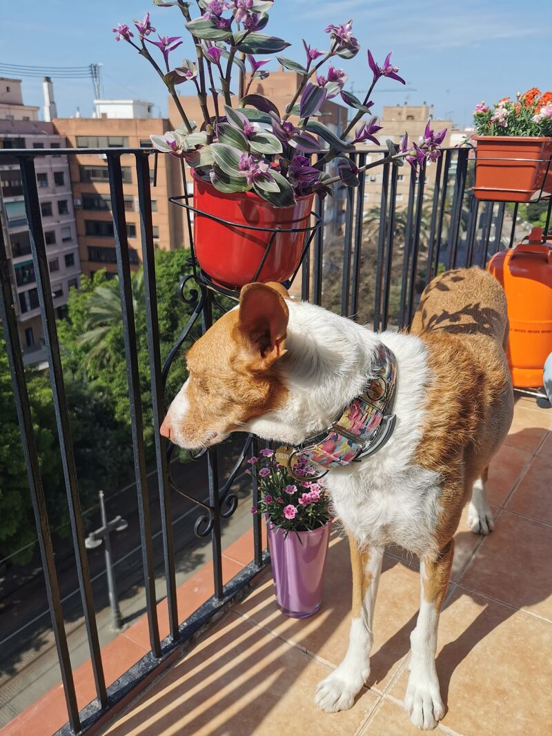 Esta chica es Olvido 🤗