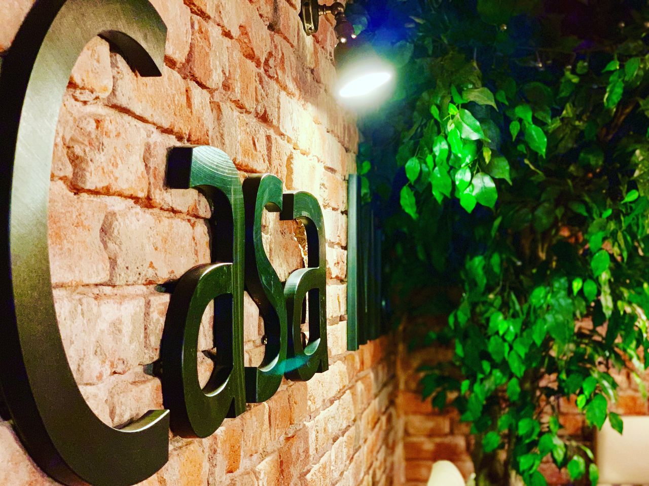 Casa mia