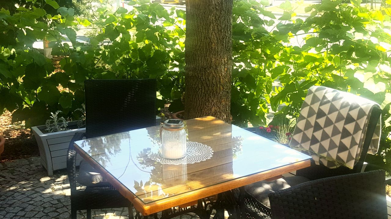 Ogródek restauracji.