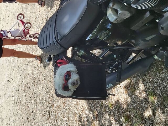 Motocyclistes, vous êtes les bienvenus ...