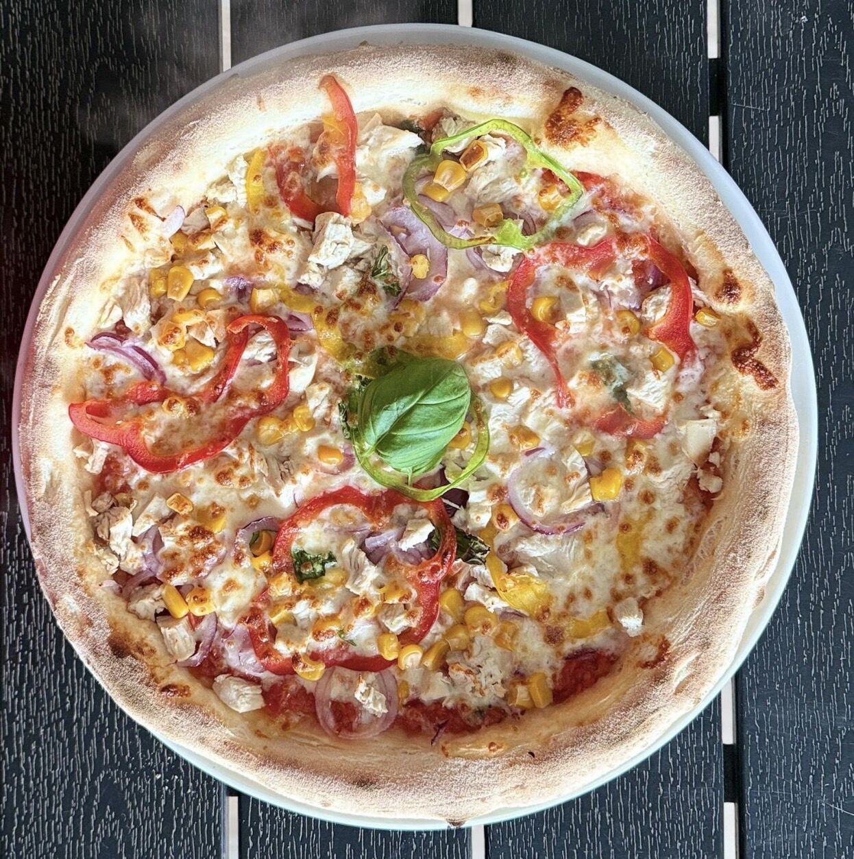 🍕POLLO🍕