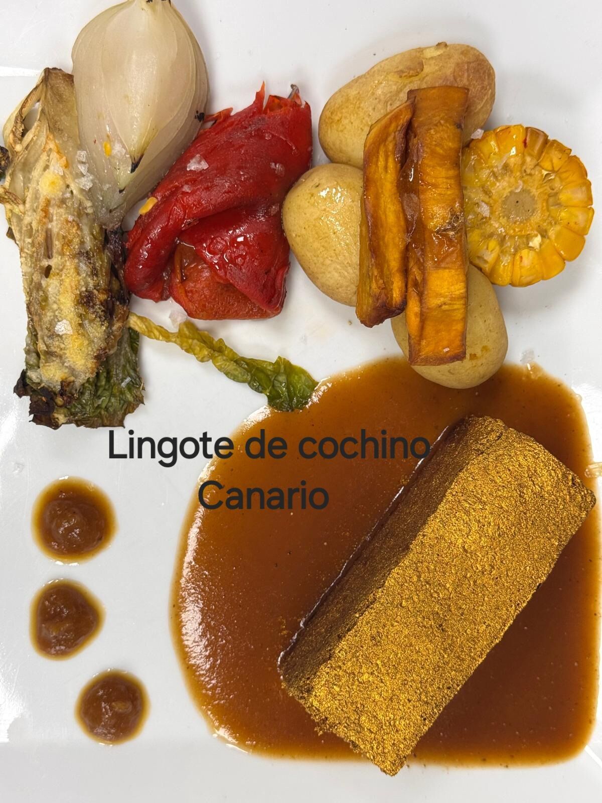 LINGOTE DE COCHINO CANARIO