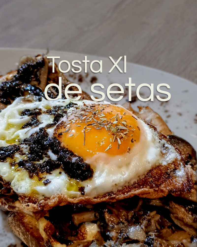 Tosta XL de setas, huevo frito y trufa