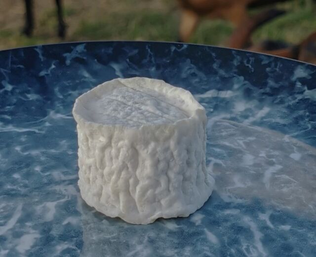 LE CROTTIN DE CHEVRE DEMI-SEC
