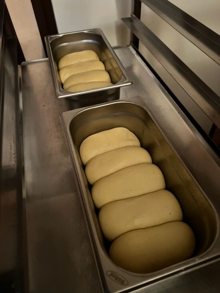 Les pâtons qui poussent avant cuisson