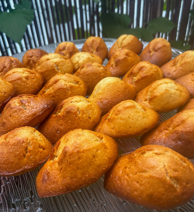 Madeleines Calédoniennes 