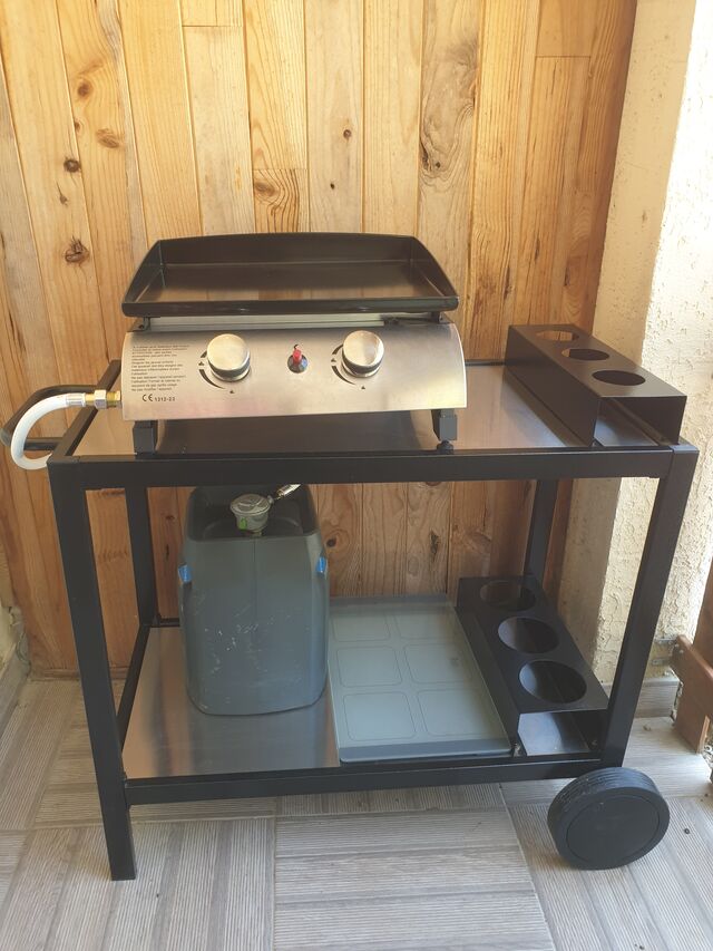 Aujourd'hui c'est grillades.