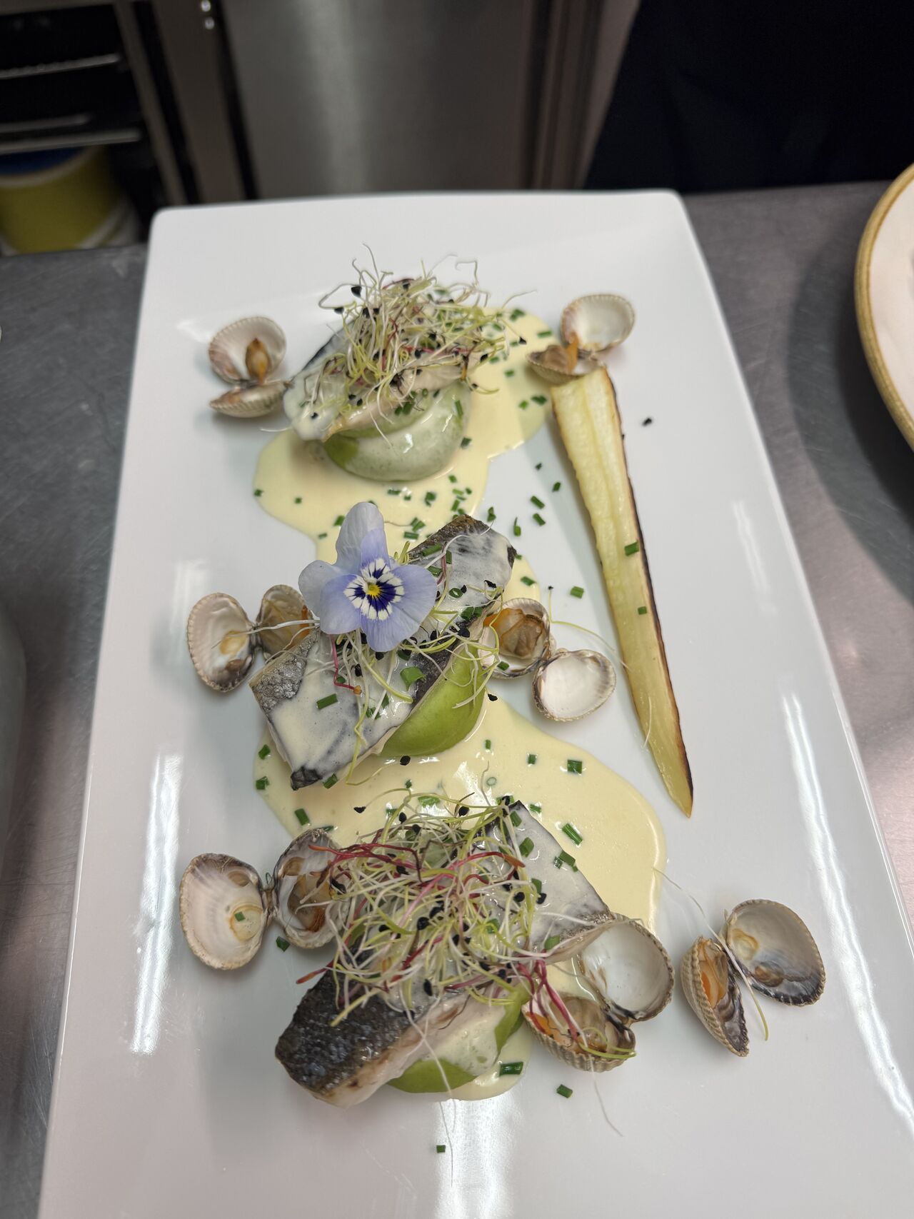 Bar cuit a l'unilatéral, crème de petit pois, sauce coquillages