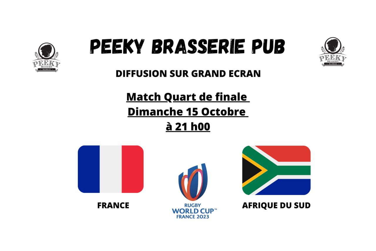 QUART DE FINALE FRANCE / AFRIQUE DU SUD